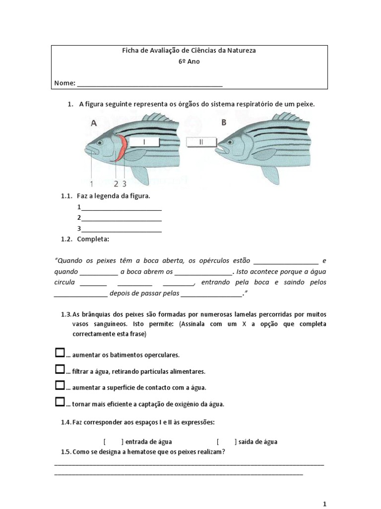 Ficha de Avalia§£o de Ciªncias da Natureza sistema circulat³rio e respiratorio do peixe