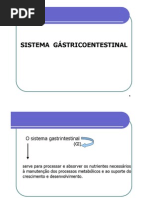 Sistema Gastrointestinal Rv
