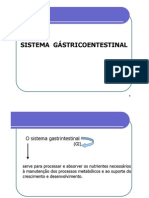Sistema Gastrointestinal Rv