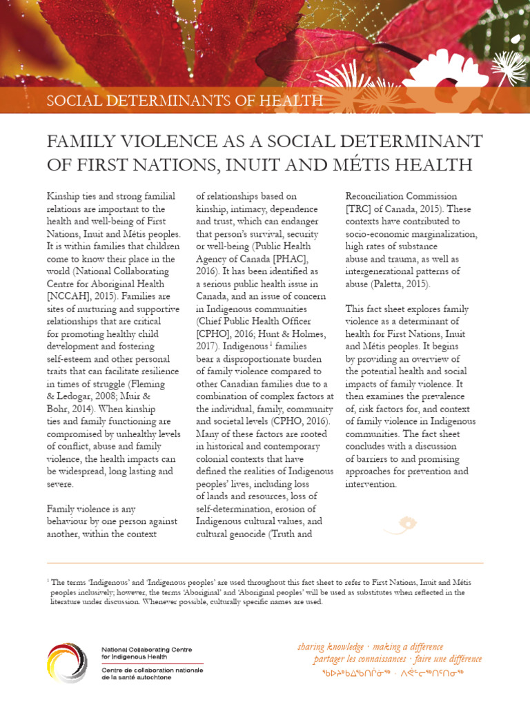 Family Violence and Indigenous Health | PDF | Domestic Violence | Violence