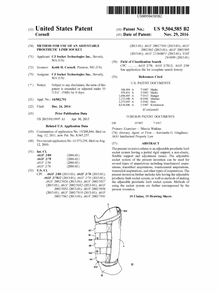 Adjustable Prosthetic Limb Socket System | PDF | Prosthesis ...