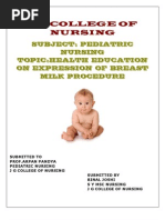 Download Lesson Plan on Expressed Breast Milk by Binal Joshi SN84843076 doc pdf