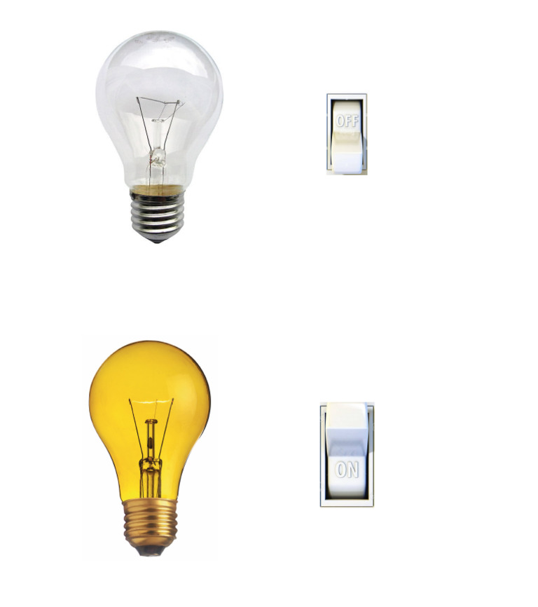 Bulb | PDF