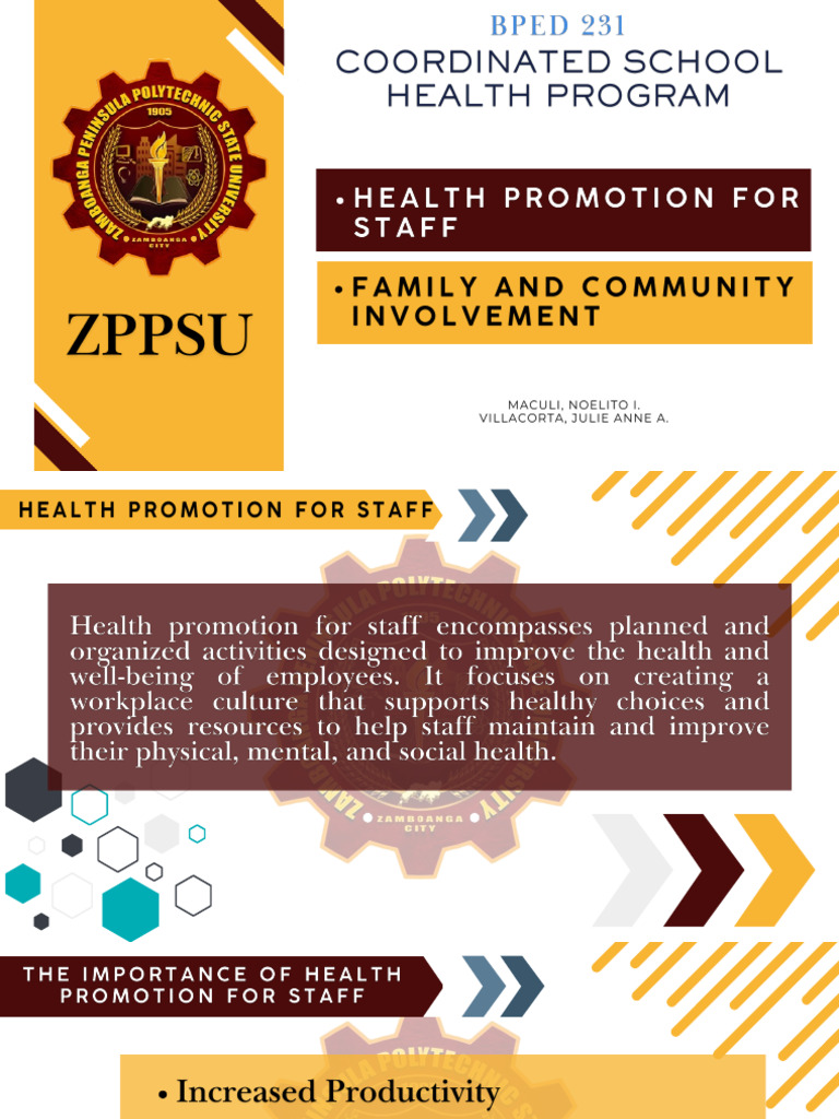 Health Promotion Strategies for Communities | PDF