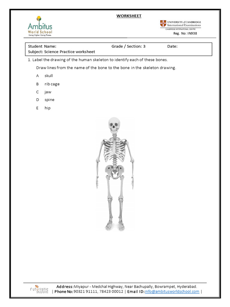 Student Name: Grade / Section: 3 Date: Subject: Science Practice ...