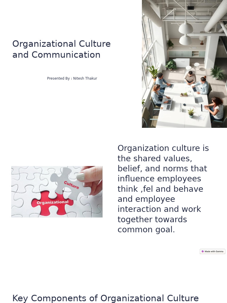 Understanding Organizational Culture & Communication | PDF ...