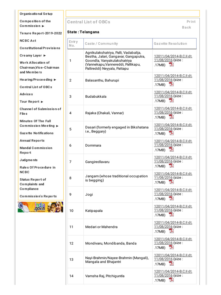 Telangana OBC Caste List Overview | PDF | South India | Social Groups ...