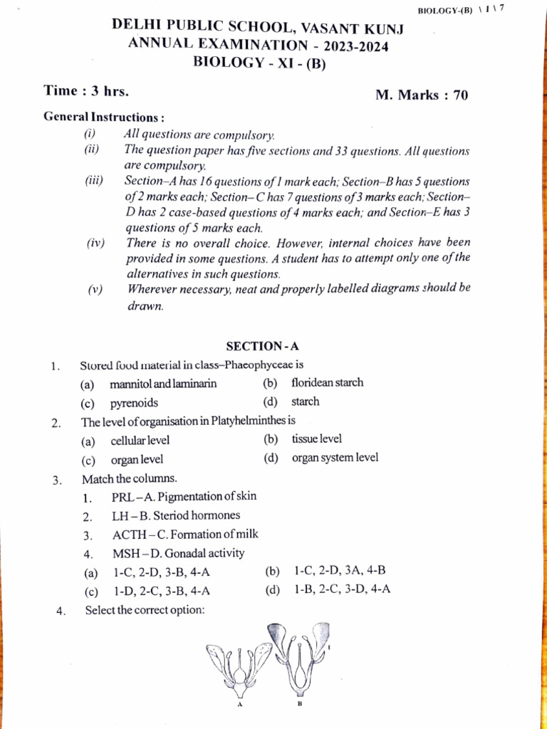 Bio Finals Class 11th DPSVK | PDF | Biology