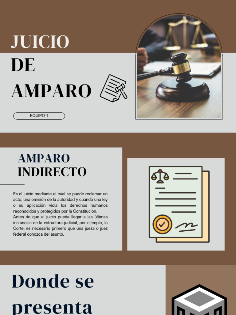 Juicio de Amparo Indirecto en México | PDF | Demanda judicial | Violación