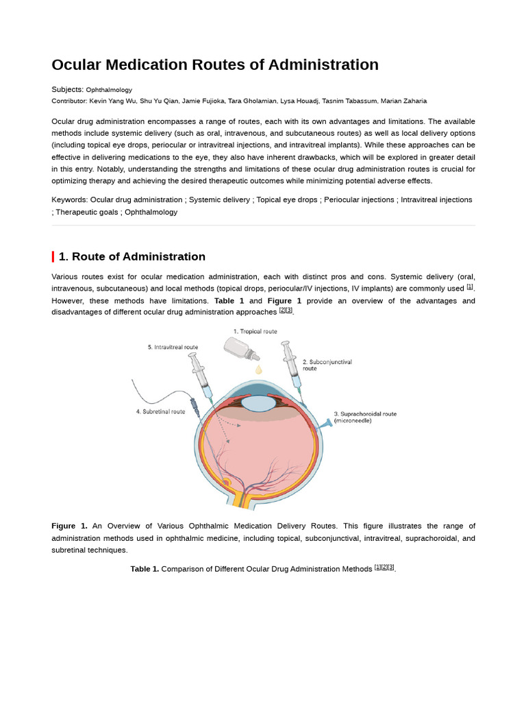 Ocular Medication Routes of Administration 3 | PDF | Topical Medication ...