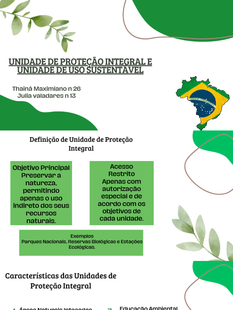 Unidades de Proteção Integral no Brasil | PDF | Ambiente natural ...