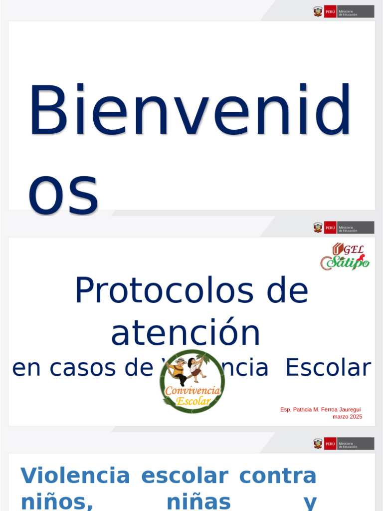 Protocolos de Atención a la Violencia Escolar | PDF | Violencia | Abuso ...