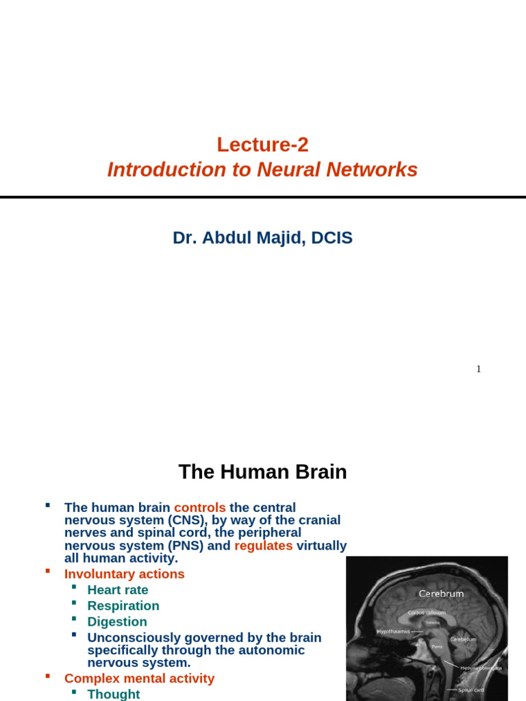 Understanding Neural Networks Basics | PDF | Neuron | Nervous System