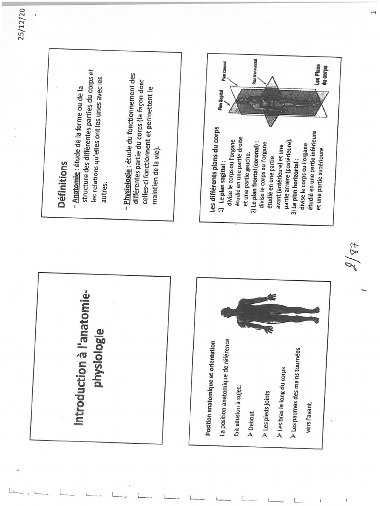 APAS | PDF