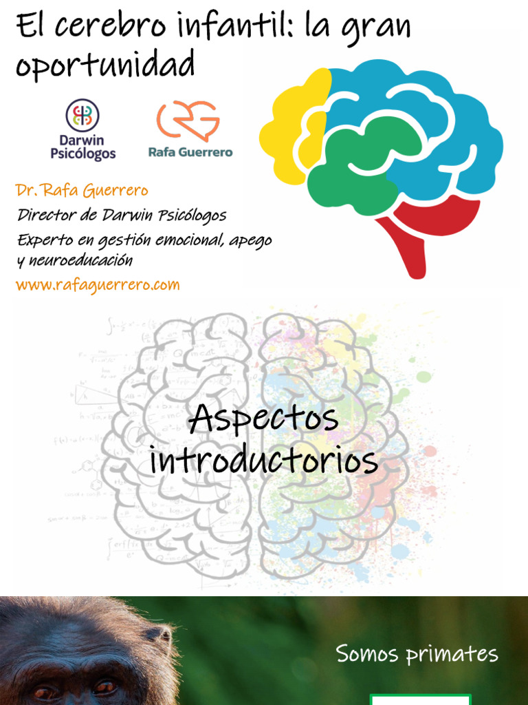 El cerebro infantil y su desarrollo emocional | PDF | Las emociones ...