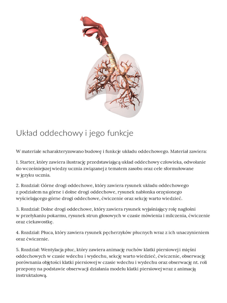uklad-oddechowy-i-jego-funkcje-pdf