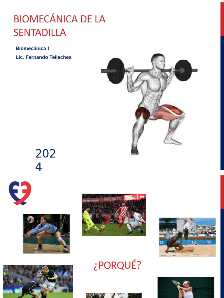 Sentadillas 2024 | PDF | Pelvis | Tobillo