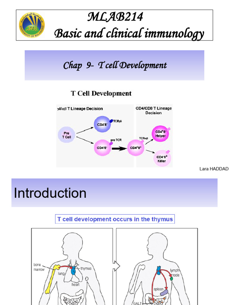 Chap 9- T cell development_35a3c95197e3ebcd053476b963cac525 | PDF | T ...