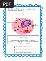Cell and Football Stadium Analogies | PDF | Cell (Biology) | Cell Nucleus