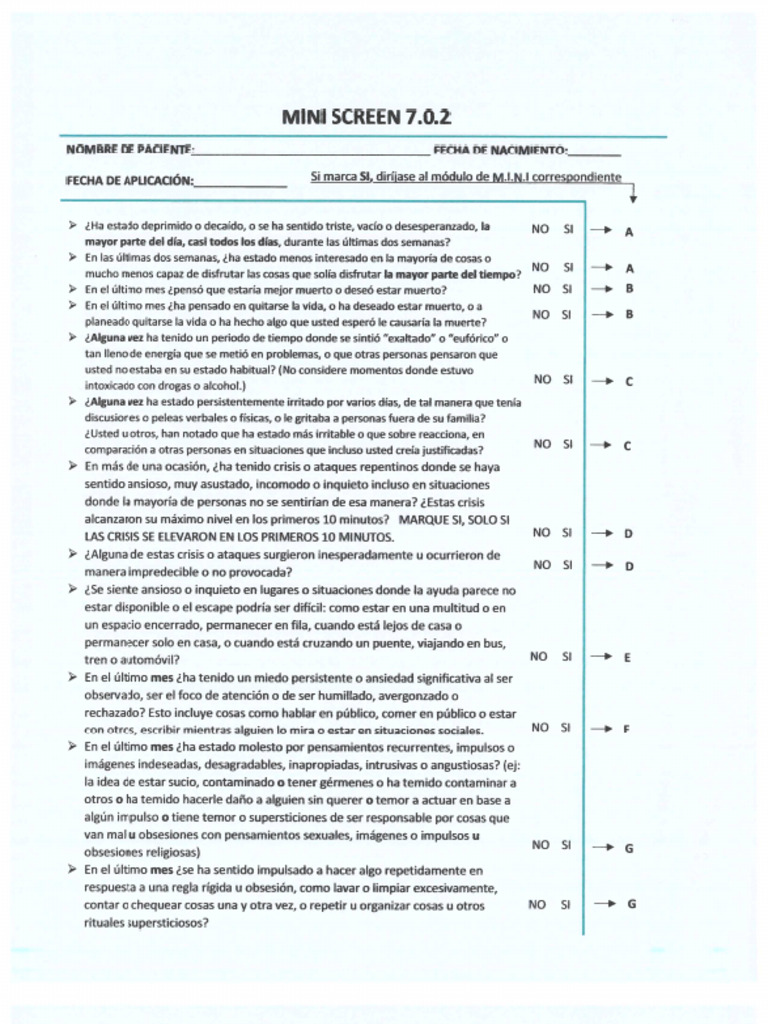 Mini Screen 7.0.2 | PDF