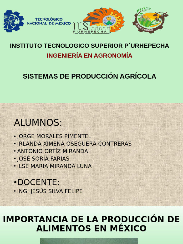 Importancia de la Producción de Alimentos en México | PDF