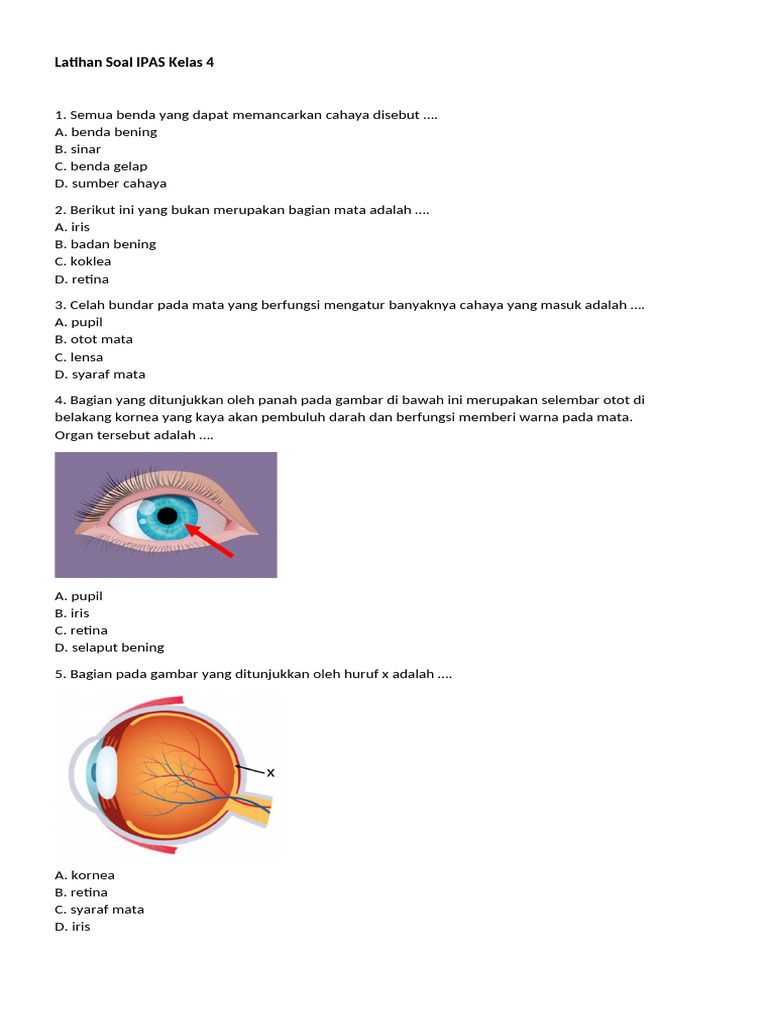 Latihan Soal IPAS Kelas 4: Mata | PDF