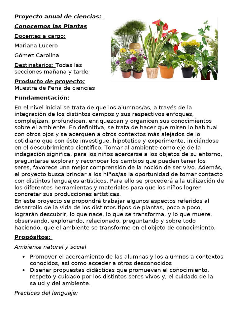 Proyecto Anual: Conocemos las Plantas | PDF | Plantas | Educación de la ...