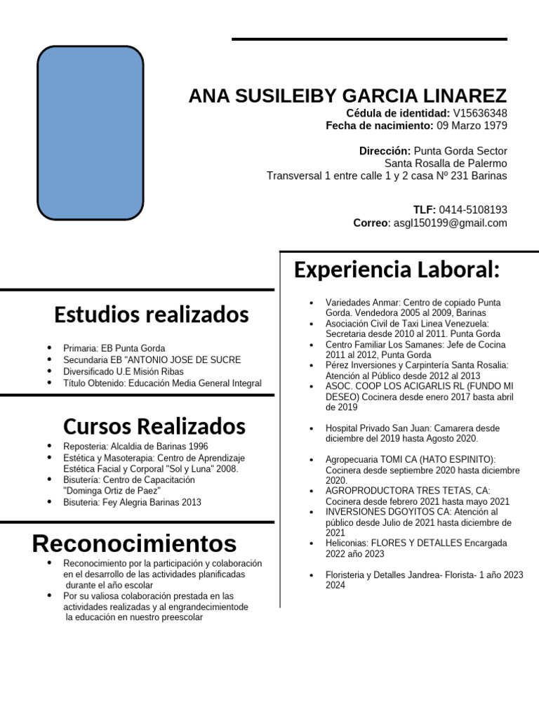 Perfil Profesional de Ana Susileiby Garcia | PDF | Etapas educativas