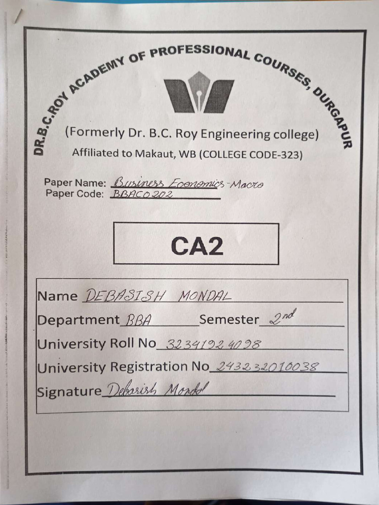 CA2 Compressed | PDF