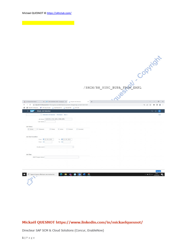 Business Partner Sync in SAP S/4HANA | PDF | Computing | Information ...