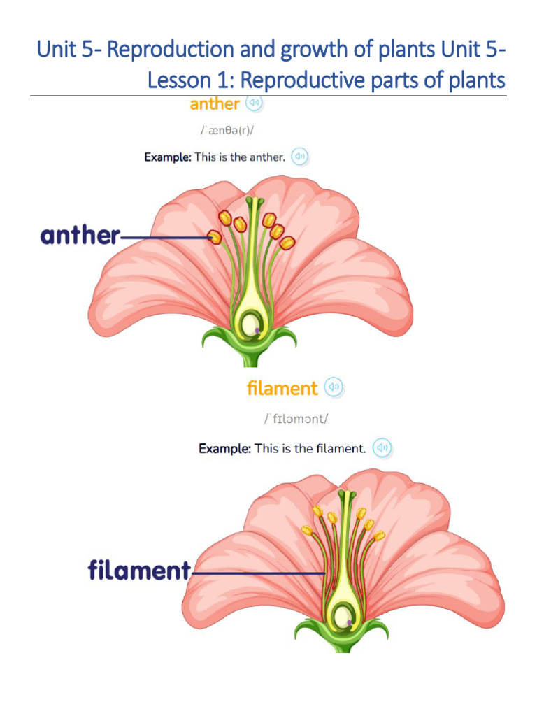 Rose Apple Reproduction Overview | PDF