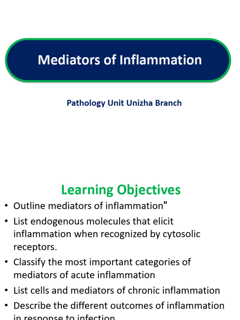 Key Mediators of Inflammation Explained | PDF | Inflammation | Macrophage