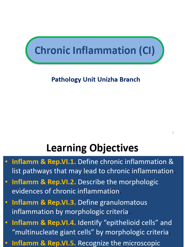 Chronic Inflammation Overview and Pathways | PDF | Macrophage ...
