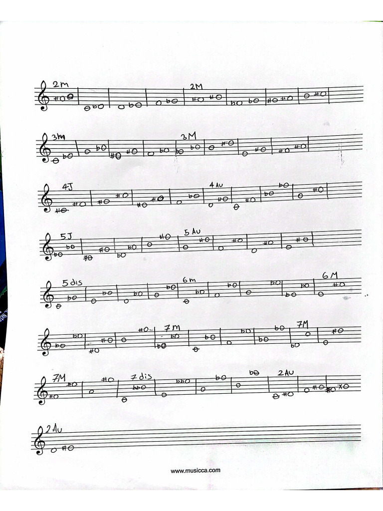 Notas Musicales | PDF