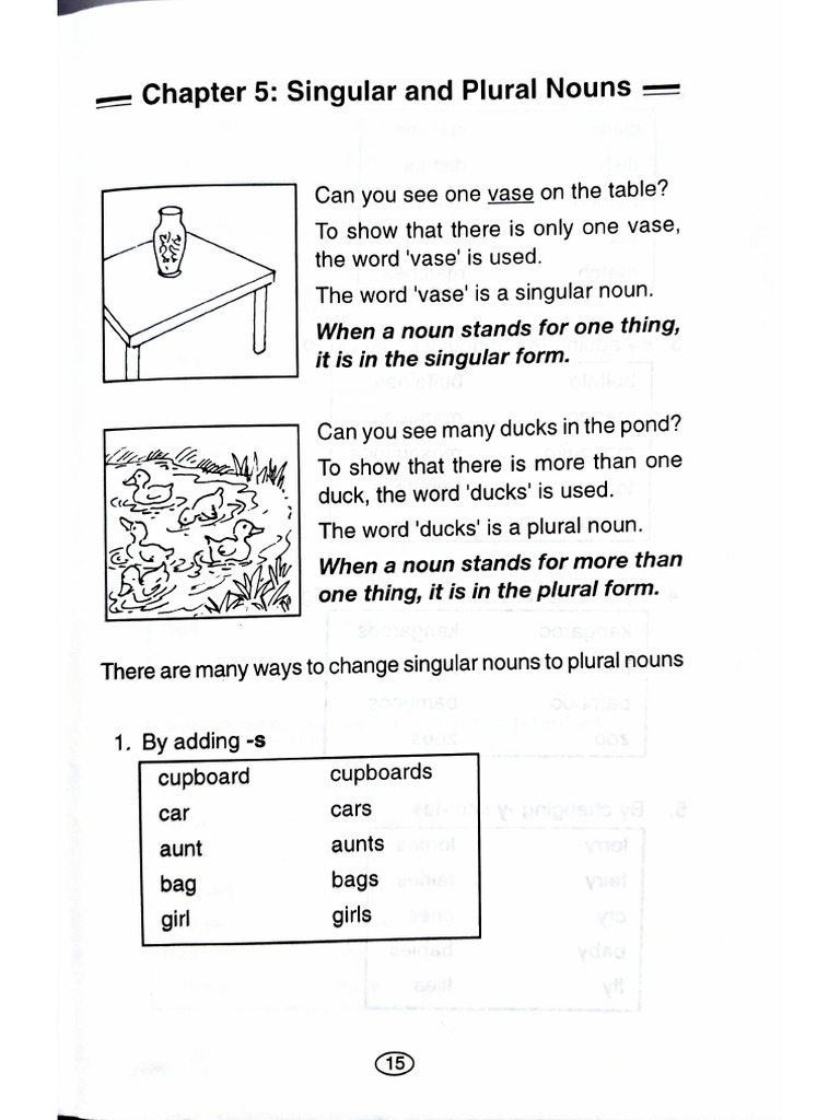IS DETAILS SINGULAR visual data 6