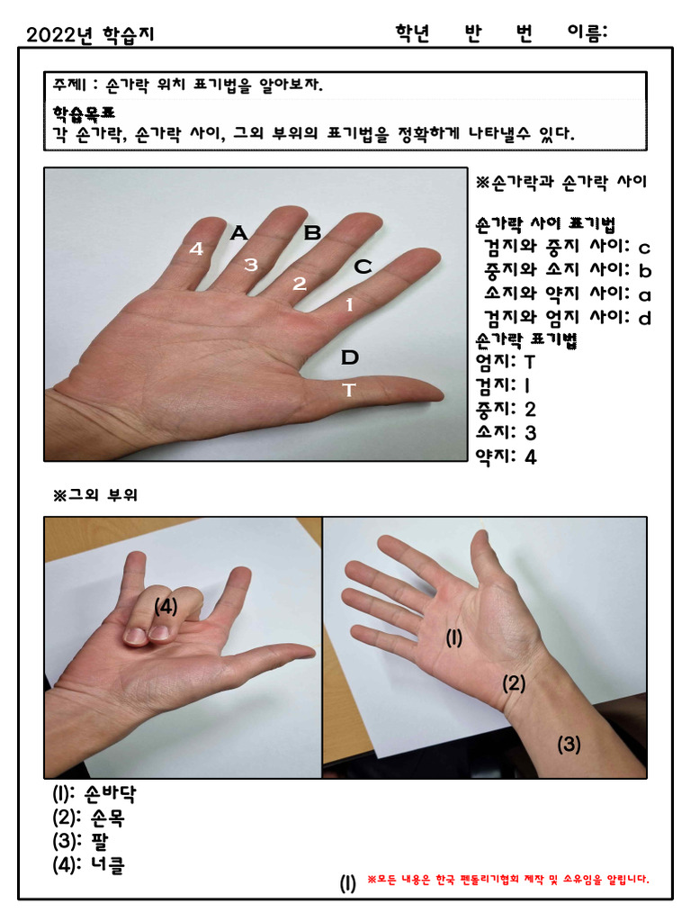 손가락 사이 표기법 학습지 | PDF
