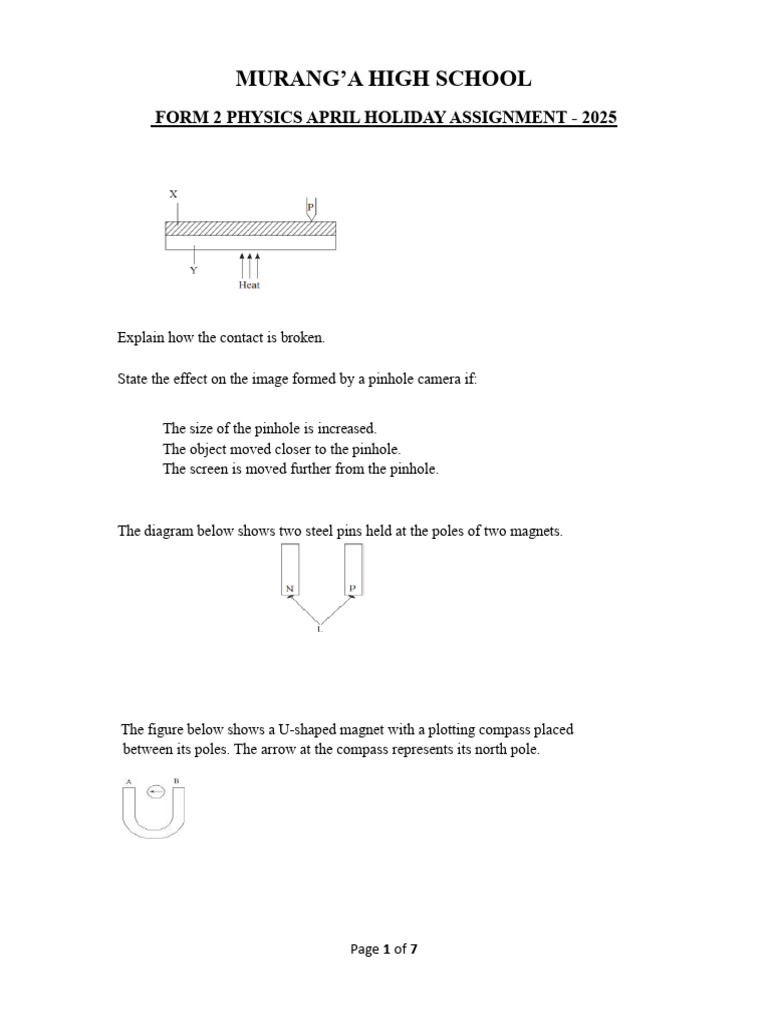 Form 2 Physics Holiday Assignment 2025 | PDF | Thermometer | Magnet