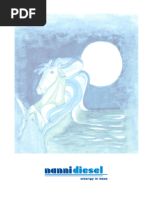 Nanni 5.250 TDI Workshop