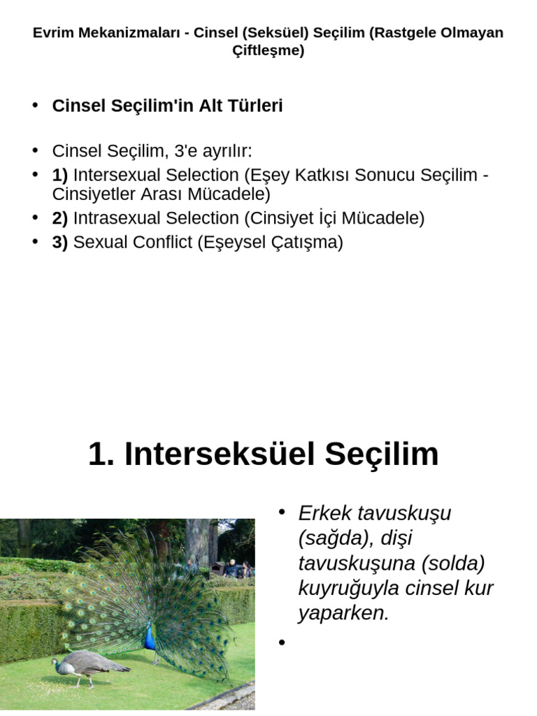 evrim-mekanizmalar-cinsel-seks-el-se-ilim-pdf