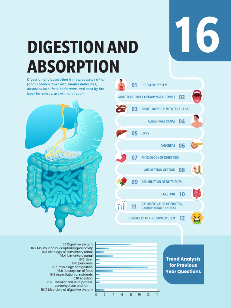 Ch 16. Digestion and Absorption | PDF