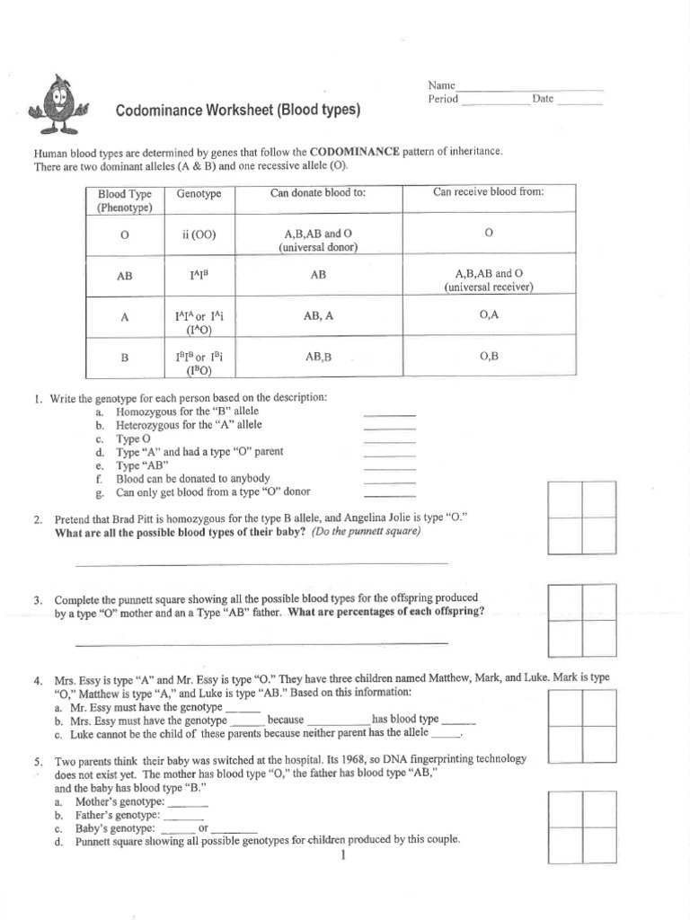 Blood Types Inheritance PDF