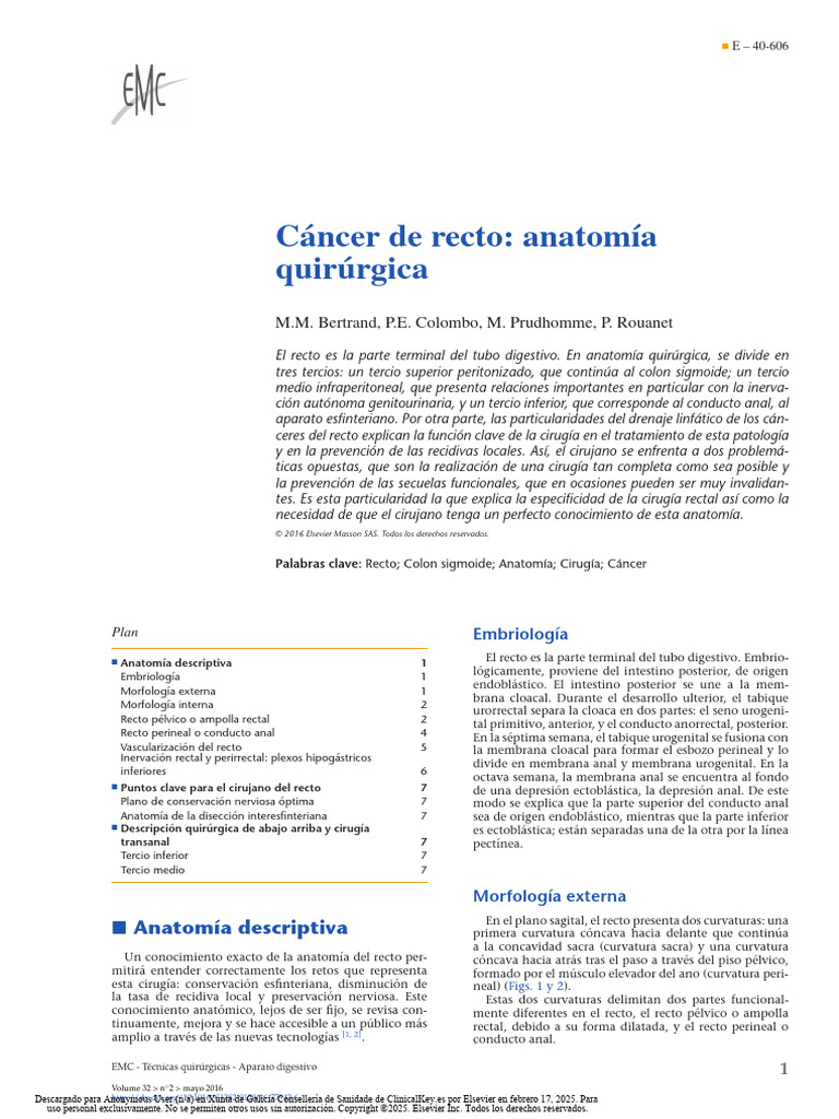 Anatomía quirúrgica del recto humano | PDF | Recto | Pelvis