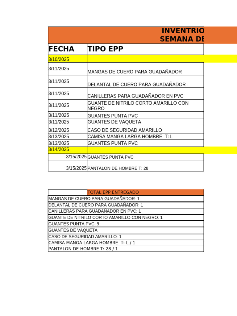 Entrega de EPP del 10 al 15 de marzo 2025 | PDF