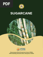 Sugarcane Varities | PDF | Sugarcane | Agriculture