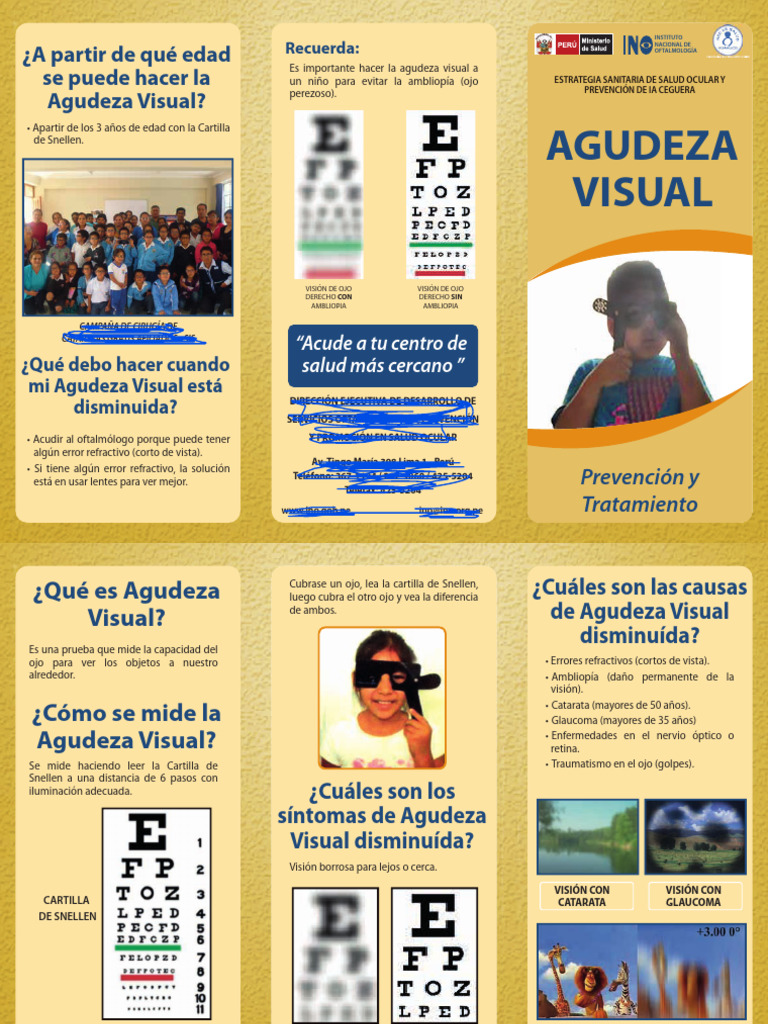 Agudeza Visual: Prevención y Medición | PDF | Percepción visual ...