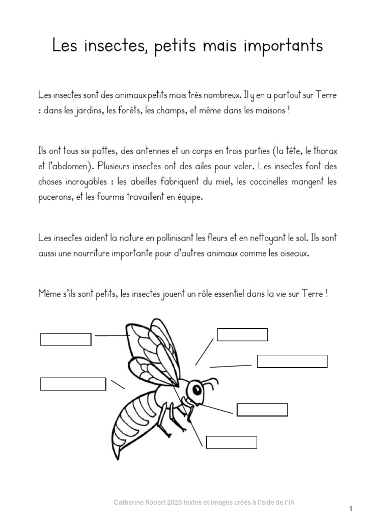 Insectes utiles dans le jardin | PDF | Abeilles | Insectes
