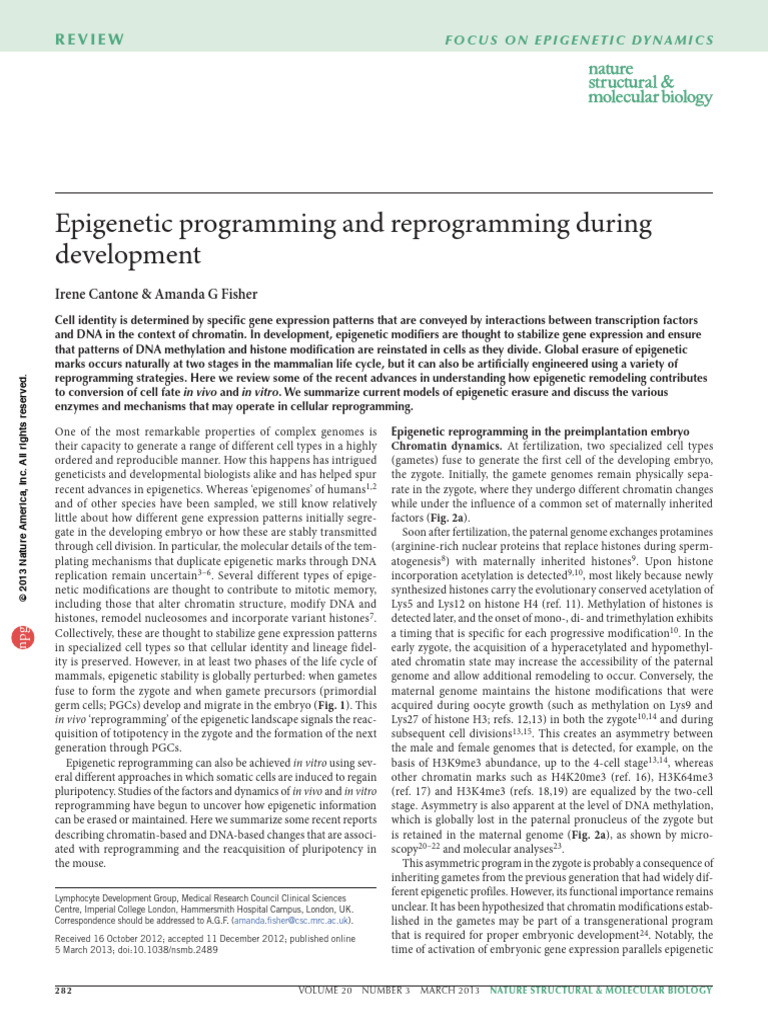 Cantone Et Al, 2013 Epigenetic Programming and Reprogramming ...