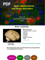Baudry M - Advances in Synaptic Plasticity | PDF | Long Term