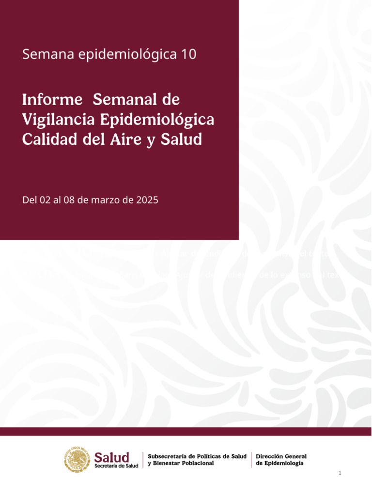 Informe Epidemiológico: Calidad del Aire 2025 | PDF | Ozono | La ...