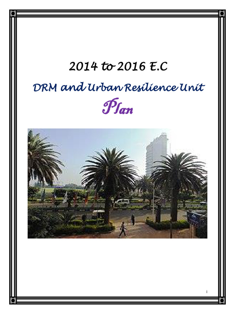 Bahir Dar Emergency Response Plan 2014-2016 | PDF | Disaster Risk ...